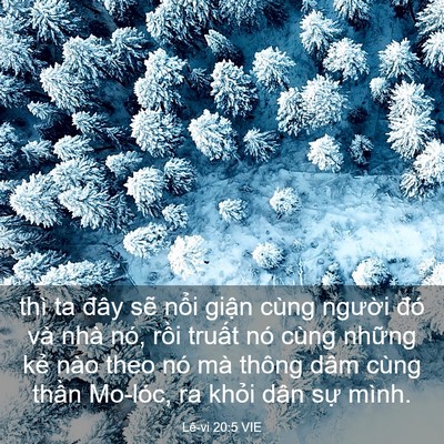 Picture 03 - Lê-vi 20:5 VIE - thì ta đây sẽ nổi giận cùng người - Bible Verse Picture