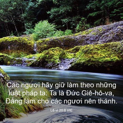 Picture 03 - Lê-vi 20:8 VIE - Các ngươi hãy giữ làm theo những luật - Bible Verse Picture