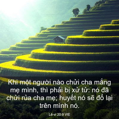 Picture 03 - Lê-vi 20:9 VIE - Khi một người nào chửi cha mắng mẹ - Bible Verse Picture