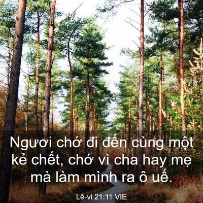 Picture 03 - Lê-vi 21:11 VIE - Ngươi chớ đi đến cùng một kẻ chết, - Bible Verse Picture