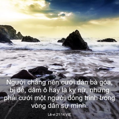 Picture 03 - Lê-vi 21:14 VIE - Người chẳng nên cưới đàn bà góa, - Bible Verse Picture