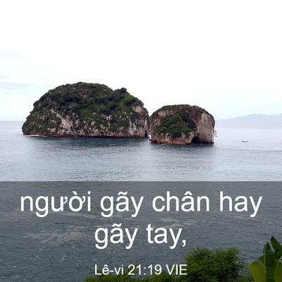 Picture 03 - Lê-vi 21:19 VIE - người gãy chân hay gãy - Bible Verse Picture