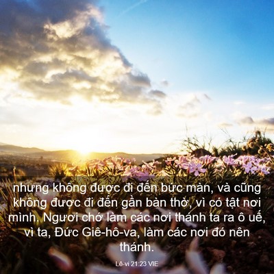 Picture 03 - Lê-vi 21:23 VIE - nhưng không được đi đến bức màn, và - Bible Verse Picture