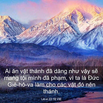 Picture 03 - Lê-vi 22:16 VIE - Ai ăn vật thánh đã dâng như vậy sẽ - Bible Verse Picture