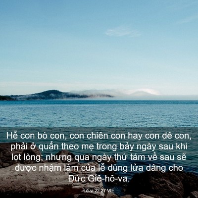Picture 03 - Lê-vi 22:27 VIE - Hễ con bò con, con chiên con hay con dê con, - Bible Verse Picture