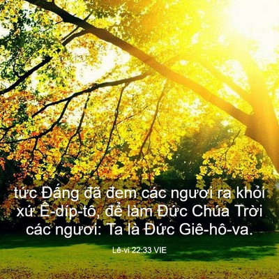 Picture 03 - Lê-vi 22:33 VIE - tức Đấng đã đem các ngươi ra khỏi - Bible Verse Picture