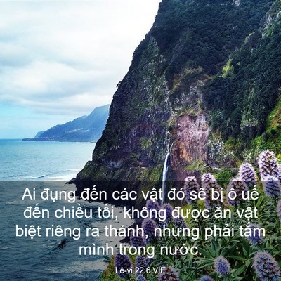 Picture 03 - Lê-vi 22:6 VIE - Ai đụng đến các vật đó sẽ bị ô - Bible Verse Picture