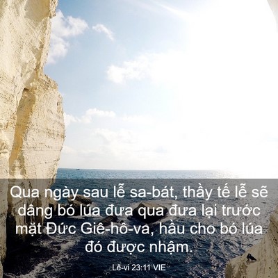 Picture 03 - Lê-vi 23:11 VIE - Qua ngày sau lễ sa-bát, thầy tế lễ sẽ - Bible Verse Picture