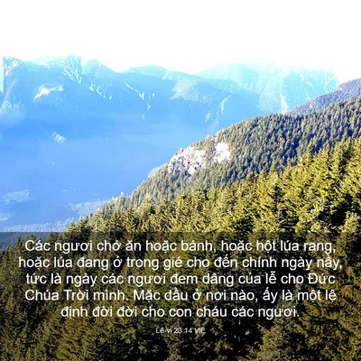 Picture 03 - Lê-vi 23:14 VIE - Các ngươi chớ ăn hoặc bánh, hoặc hột - Bible Verse Picture