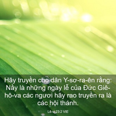 Picture 03 - Lê-vi 23:2 VIE - Hãy truyền cho dân Y-sơ-ra-ên rằng: Nầy - Bible Verse Picture
