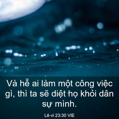 Picture 03 - Lê-vi 23:30 VIE - Và hễ ai làm một công việc gì, thì ta - Bible Verse Picture
