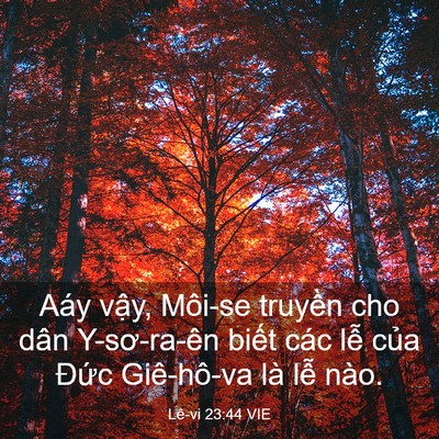 Picture 03 - Lê-vi 23:44 VIE - Aáy vậy, Môi-se truyền cho dân - Bible Verse Picture