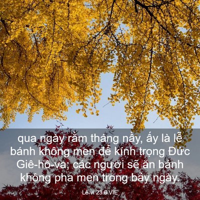 Picture 03 - Lê-vi 23:6 VIE - qua ngày rằm tháng nầy, ấy là lễ bánh - Bible Verse Picture