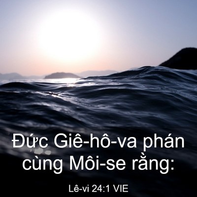 Picture 03 - Lê-vi 24:1 VIE - Đức Giê-hô-va phán cùng Môi-se - Bible Verse Picture