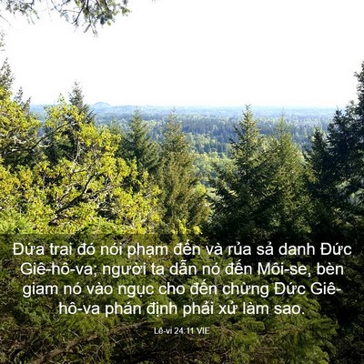 Picture 03 - Lê-vi 24:11 VIE - Đứa trai đó nói phạm đến và rủa - Bible Verse Picture