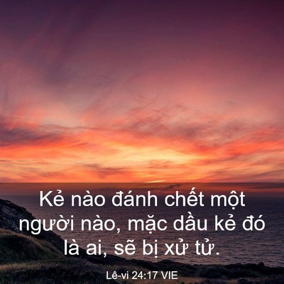 Picture 03 - Lê-vi 24:17 VIE - Kẻ nào đánh chết một người nào, - Bible Verse Picture