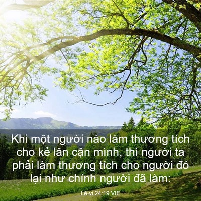 Picture 03 - Lê-vi 24:19 VIE - Khi một người nào làm thương tích cho - Bible Verse Picture