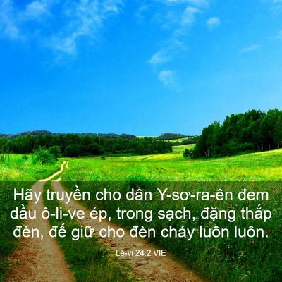 Picture 03 - Lê-vi 24:2 VIE - Hãy truyền cho dân Y-sơ-ra-ên đem dầu - Bible Verse Picture