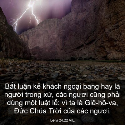 Picture 03 - Lê-vi 24:22 VIE - Bất luận kẻ khách ngoại bang hay là - Bible Verse Picture