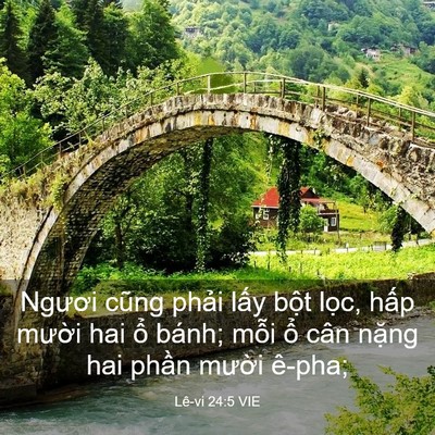 Picture 03 - Lê-vi 24:5 VIE - Ngươi cũng phải lấy bột lọc, hấp - Bible Verse Picture