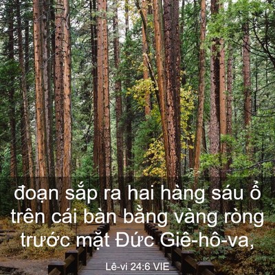 Picture 03 - Lê-vi 24:6 VIE - đoạn sắp ra hai hàng sáu ổ trên cái - Bible Verse Picture
