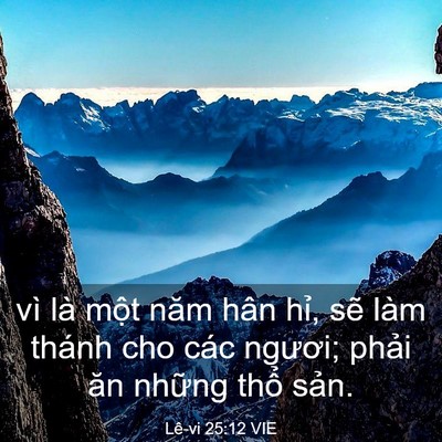 Picture 03 - Lê-vi 25:12 VIE - vì là một năm hân hỉ, sẽ làm thánh - Bible Verse Picture