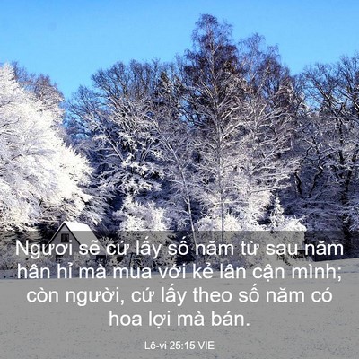 Picture 03 - Lê-vi 25:15 VIE - Ngươi sẽ cứ lấy số năm từ sau năm - Bible Verse Picture