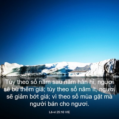 Picture 03 - Lê-vi 25:16 VIE - Tùy theo số năm sau năm hân hỉ, ngươi - Bible Verse Picture