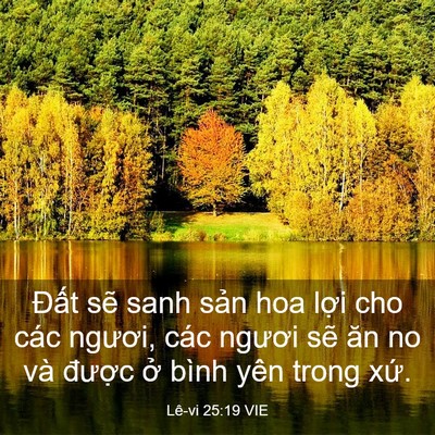 Picture 03 - Lê-vi 25:19 VIE - Đất sẽ sanh sản hoa lợi cho các - Bible Verse Picture