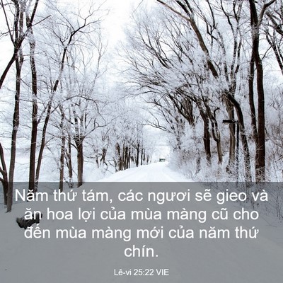 Picture 03 - Lê-vi 25:22 VIE - Năm thứ tám, các ngươi sẽ gieo và ăn - Bible Verse Picture