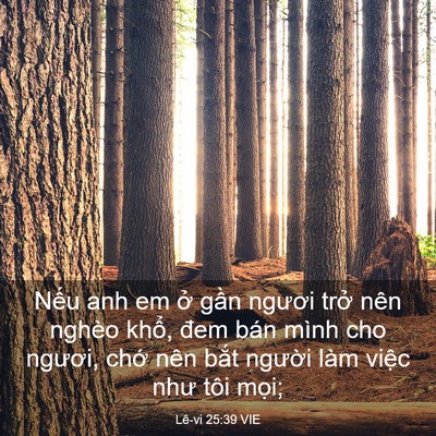 Picture 03 - Lê-vi 25:39 VIE - Nếu anh em ở gần ngươi trở nên nghèo - Bible Verse Picture