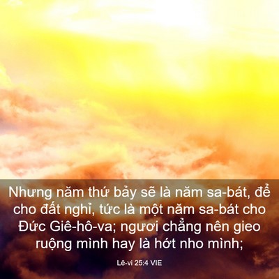 Picture 03 - Lê-vi 25:4 VIE - Nhưng năm thứ bảy sẽ là năm sa-bát, - Bible Verse Picture