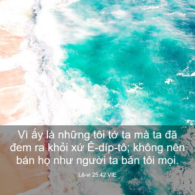 Picture 03 - Lê-vi 25:42 VIE - Vì ấy là những tôi tớ ta mà ta đã - Bible Verse Picture