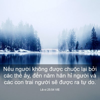 Picture 03 - Lê-vi 25:54 VIE - Nếu người không được chuộc lại - Bible Verse Picture