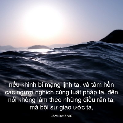 Picture 03 - Lê-vi 26:15 VIE - nếu khinh bỉ mạng lịnh ta, và tâm hồn - Bible Verse Picture