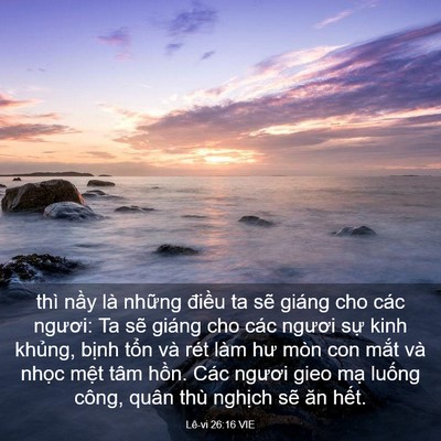 Picture 03 - Lê-vi 26:16 VIE - thì nầy là những điều ta sẽ giáng cho - Bible Verse Picture