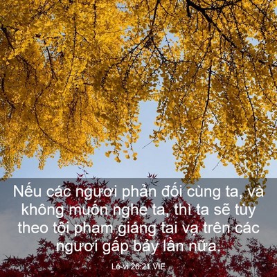 Picture 03 - Lê-vi 26:21 VIE - Nếu các ngươi phản đối cùng ta, và - Bible Verse Picture