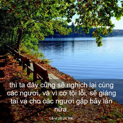 Picture 03 - Lê-vi 26:24 VIE - thì ta đây cũng sẽ nghịch lại cùng - Bible Verse Picture