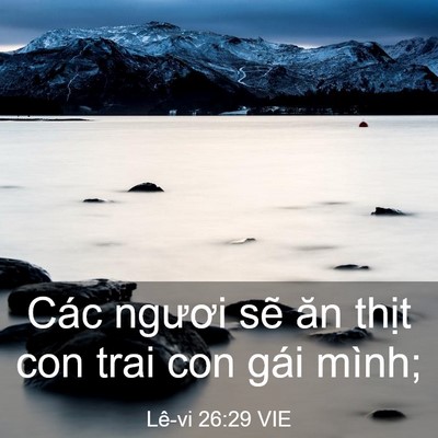 Picture 03 - Lê-vi 26:29 VIE - Các ngươi sẽ ăn thịt con trai con gái - Bible Verse Picture
