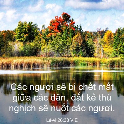 Picture 03 - Lê-vi 26:38 VIE - Các ngươi sẽ bị chết mất giữa các - Bible Verse Picture