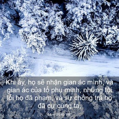 Picture 03 - Lê-vi 26:40 VIE - Khi ấy, họ sẽ nhận gian ác mình, và - Bible Verse Picture