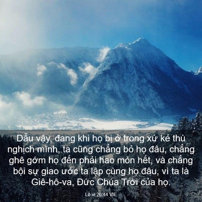Picture 03 - Lê-vi 26:44 VIE - Dẫu vậy, đang khi họ bị ở trong xứ - Bible Verse Picture