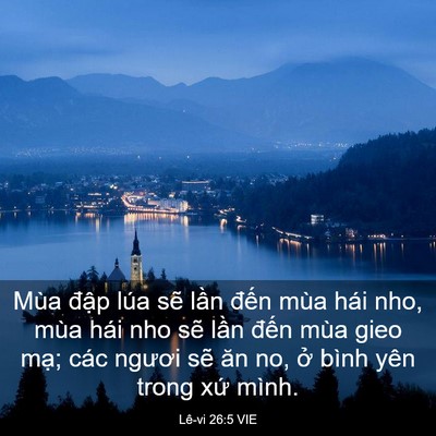 Picture 03 - Lê-vi 26:5 VIE - Mùa đập lúa sẽ lần đến mùa hái nho, - Bible Verse Picture