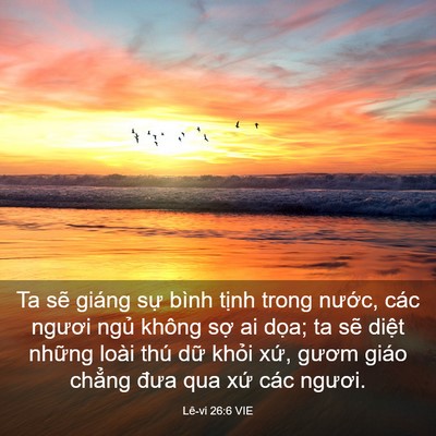 Picture 03 - Lê-vi 26:6 VIE - Ta sẽ giáng sự bình tịnh trong nước, - Bible Verse Picture