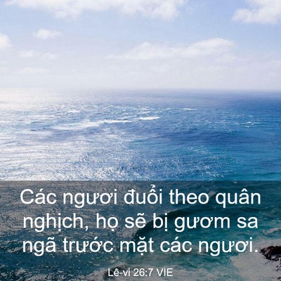 Picture 03 - Lê-vi 26:7 VIE - Các ngươi đuổi theo quân nghịch, họ - Bible Verse Picture