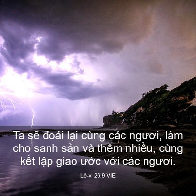 Picture 03 - Lê-vi 26:9 VIE - Ta sẽ đoái lại cùng các ngươi, làm cho - Bible Verse Picture