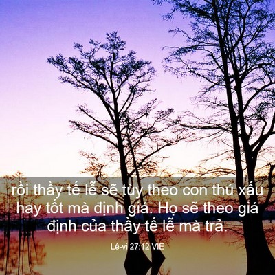Picture 03 - Lê-vi 27:12 VIE - rồi thầy tế lễ sẽ tùy theo con thú - Bible Verse Picture