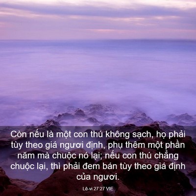 Picture 03 - Lê-vi 27:27 VIE - Còn nếu là một con thú không sạch, họ - Bible Verse Picture