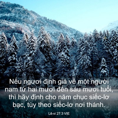 Picture 03 - Lê-vi 27:3 VIE - Nếu ngươi định giá về một người - Bible Verse Picture