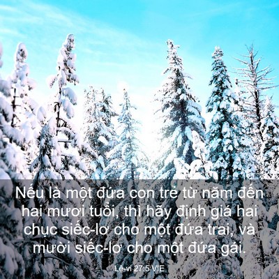 Picture 03 - Lê-vi 27:5 VIE - Nếu là một đứa con trẻ từ năm đến - Bible Verse Picture